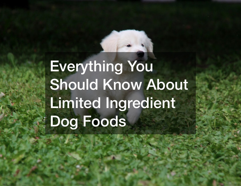 Everything You Should Know About Limited Ingredient Dog Foods post thumbnail image