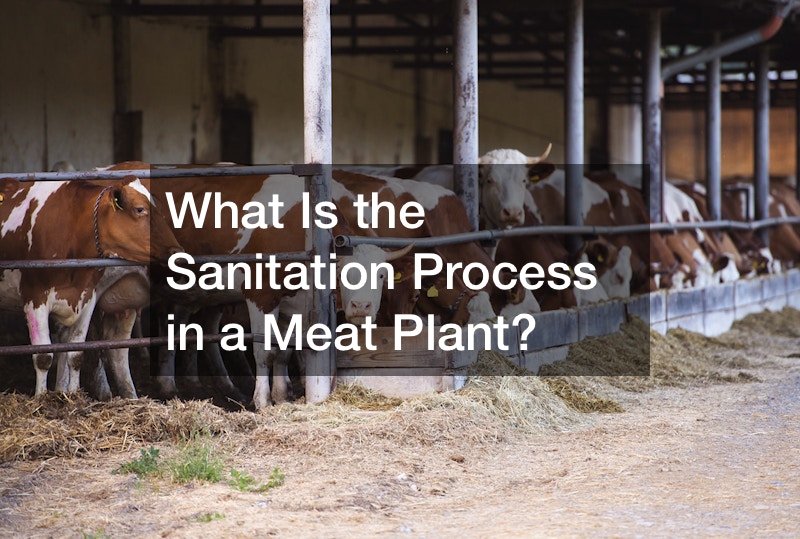 What Is the Sanitation Process in a Meat Plant? post thumbnail image